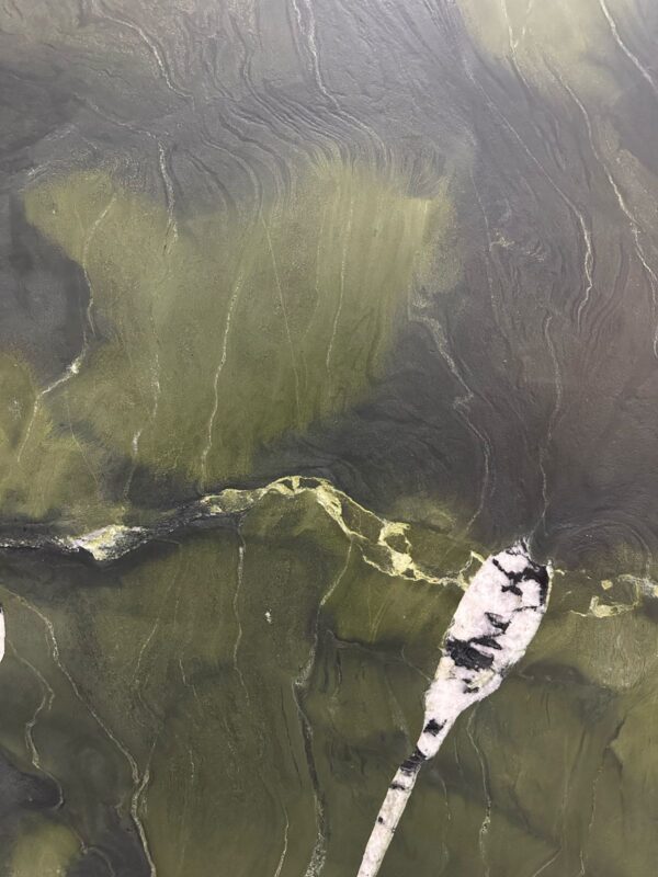 AVOCATUS LEATHER 2CM PLACA